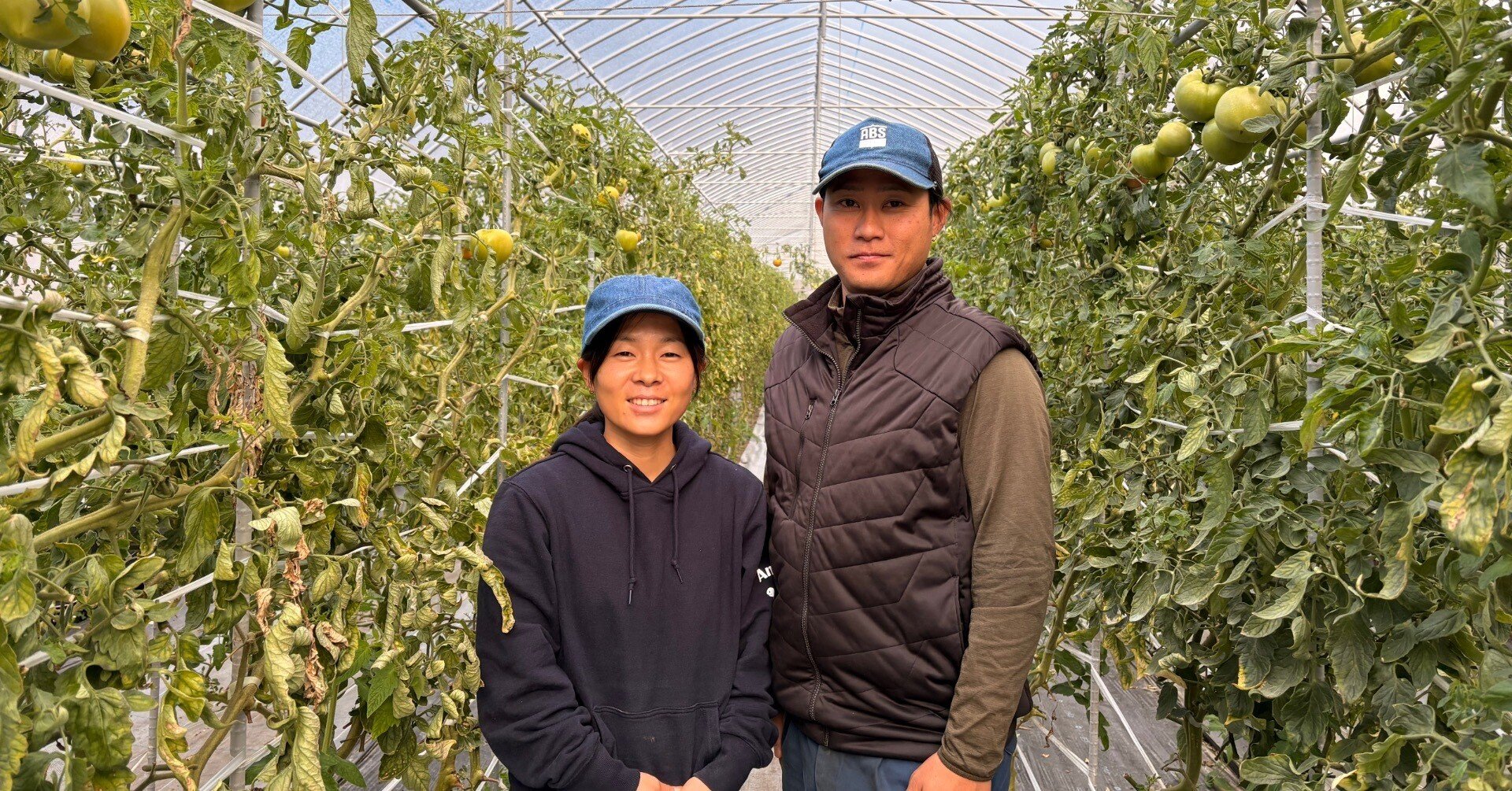 86a2d359947fedb91550e0a26e04b0