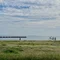沼の底からこんばんは