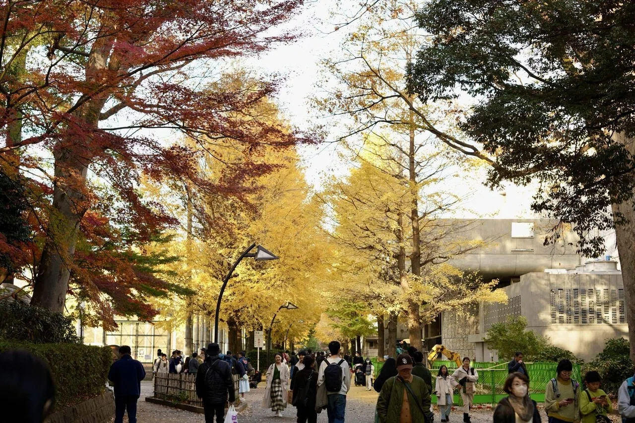Photos of Autumn Leaves at the Ueno Park ｜Azuki Smith