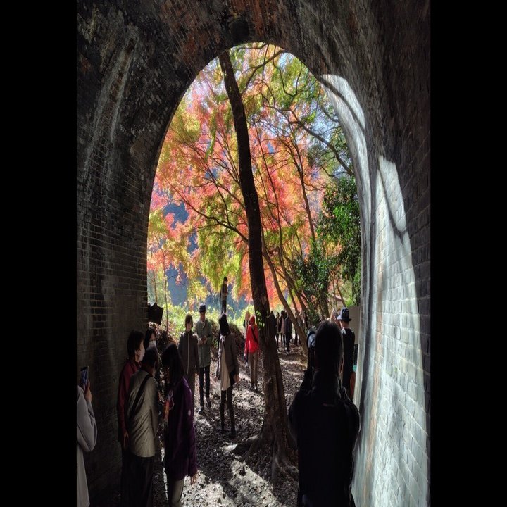 愛岐トンネル群 秋の特別公開｜t-oshima