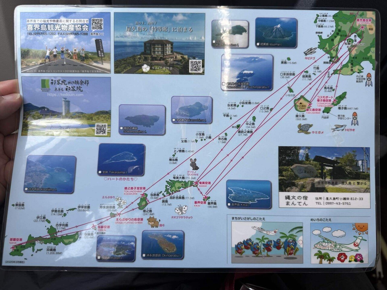 ✈️ 【御翔印】御翔印と島を巡る、鹿児島ホッピング旅🌴1日目 後編
