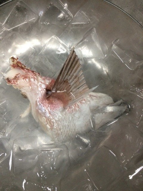 魚に塩を振るのはどうして 飲食店利益構造改革 Note 魚に塩を振るのはどうして 飲食店利益構造改革 Note