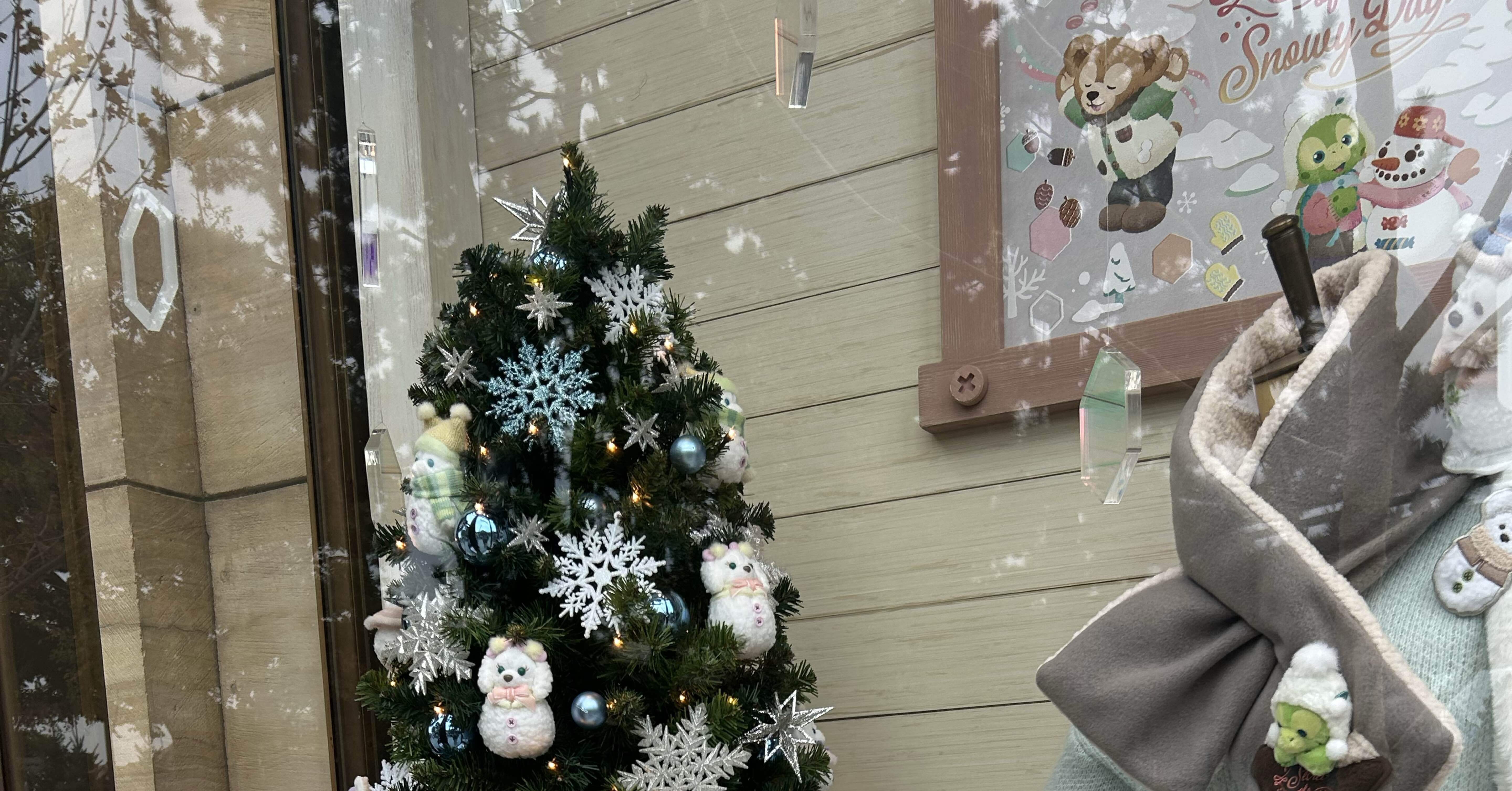 おでかけ#05】クリスマスディズニーシー｜40代夫婦｜後編｜2025.11.25