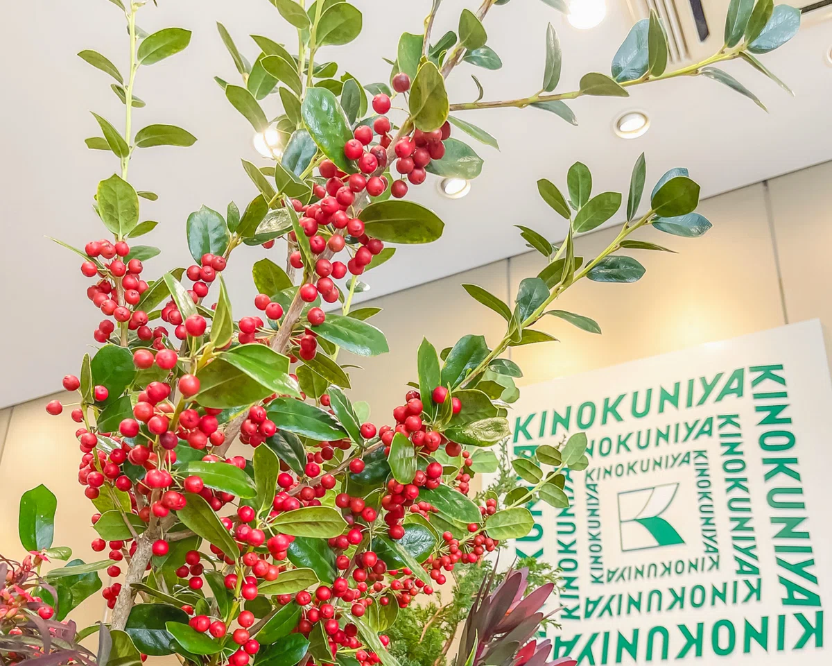 クリスマスには欠かせない“植物からの贈り物”｜D.STYLE