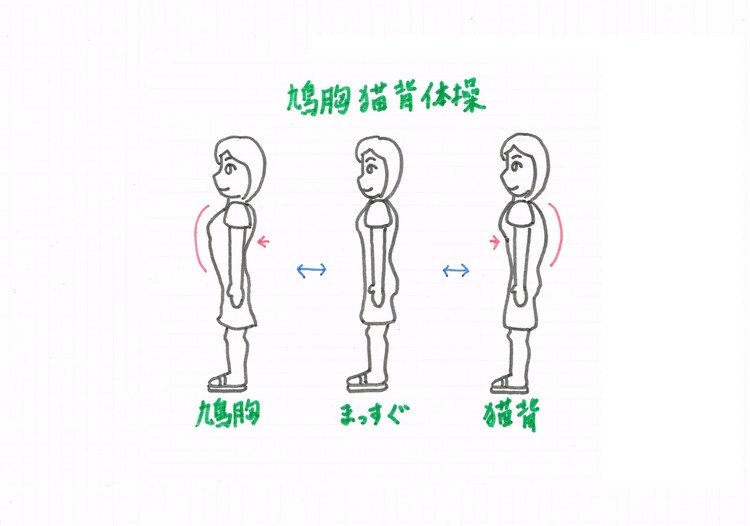 鳩胸 の新着タグ記事一覧 Note つくる つながる とどける