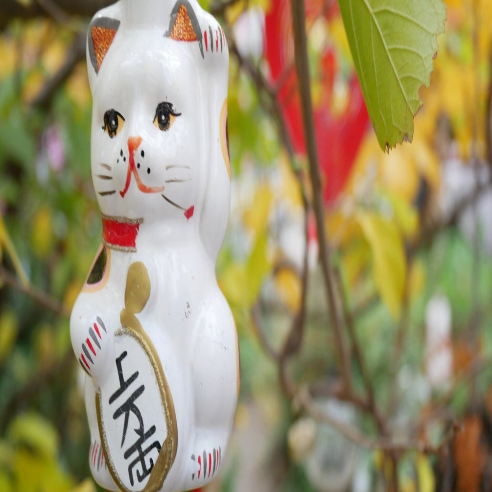 636 夕暮れ時の奥浅草 招き猫のふるさとをスカイツリーをながめつつ