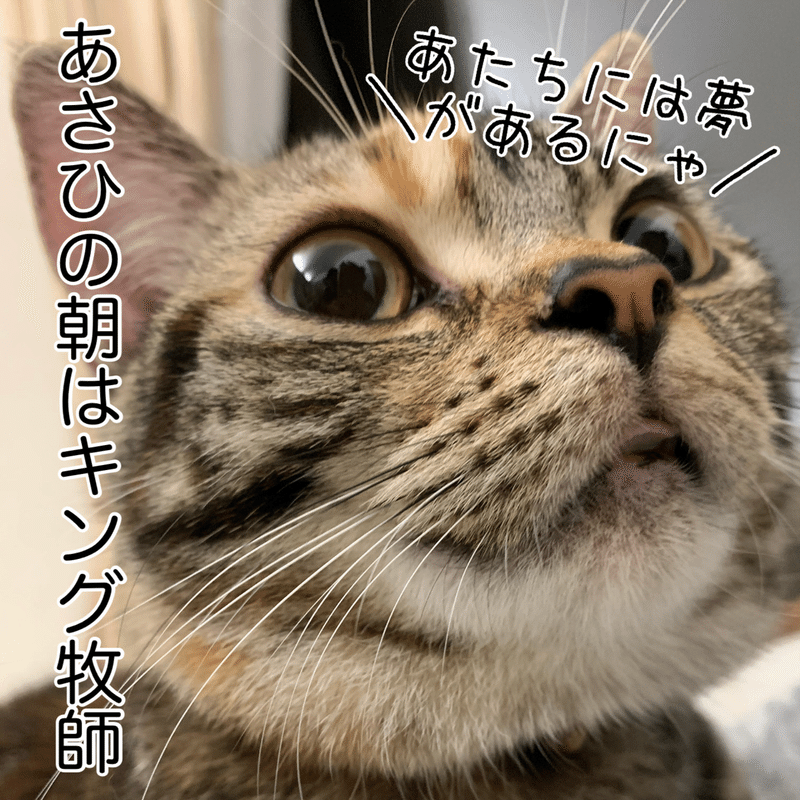 にゃんこ先生の I Have A Dream るー Note にゃんこ先生の I Have A Dream るー Note