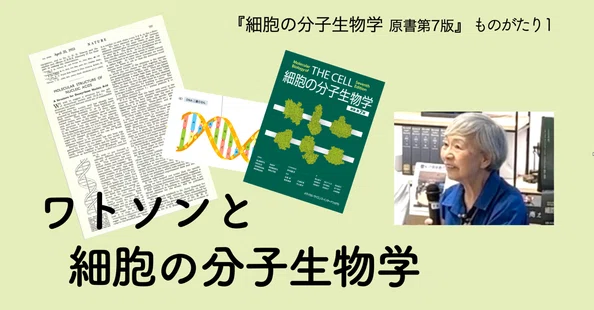 細胞の分子生物学 原書 第7版｜MEDSiの生命科学系書籍｜note