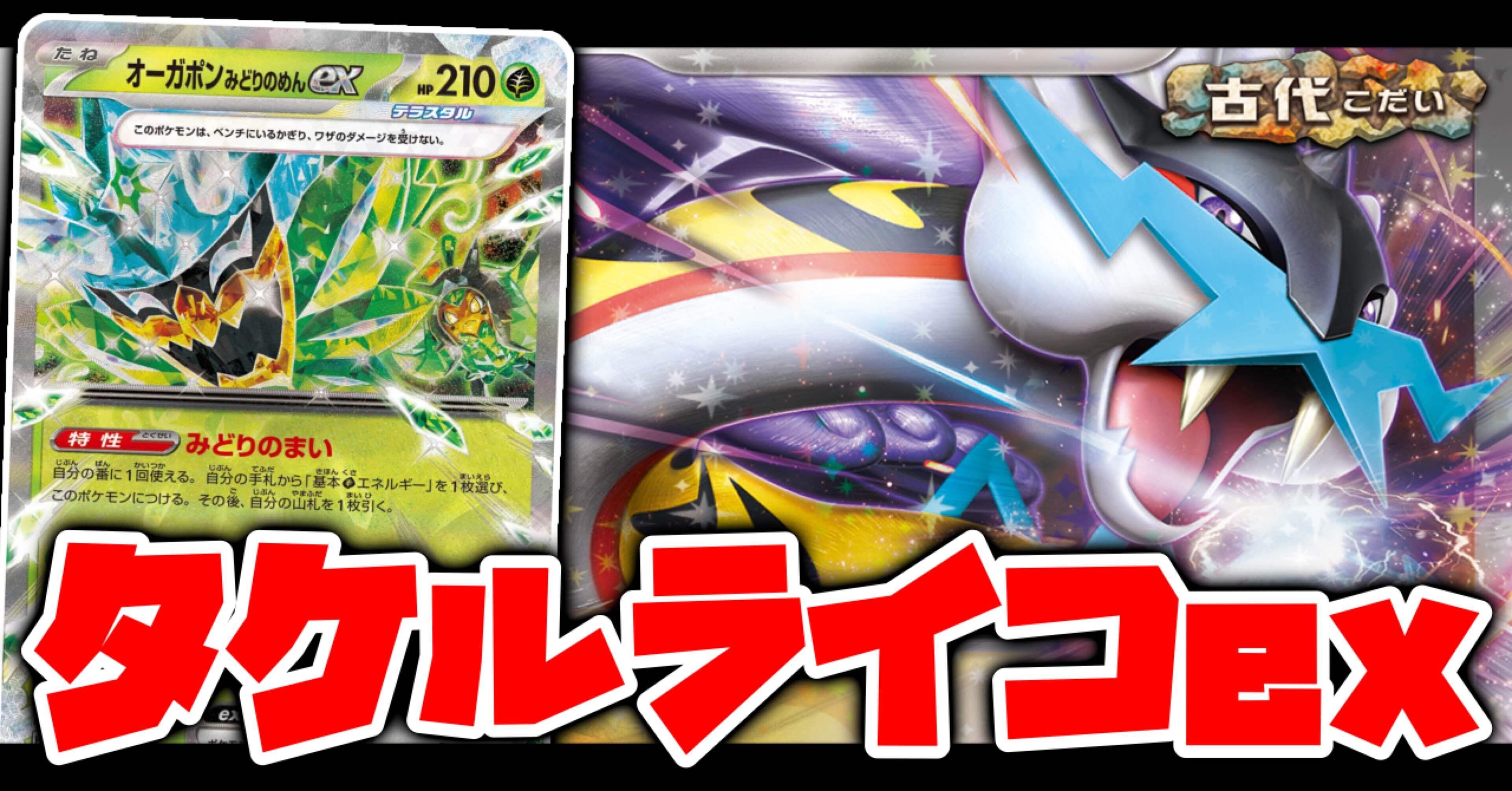 自主大会使用】タケルライコex メモ【ワデフェス/2025.0831】｜あねもね！