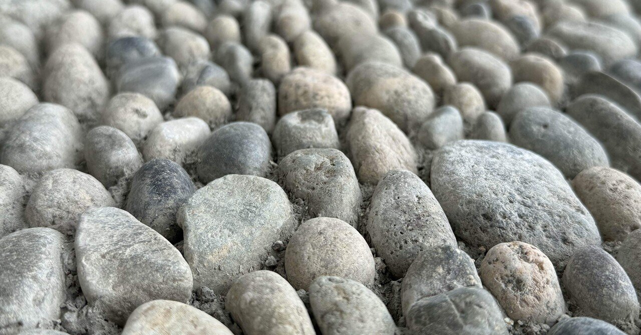 石ころだらけの地面でも｜医者を離れてフリーターになった