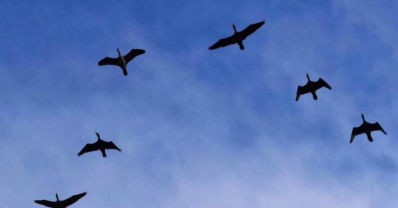 22Leg 群知能アルゴリズムが切り拓く“空の交通革命”― eVTOL運航の最適化と、これからの期待 ―｜しょーしゃんく＠ゼロから始めるエアモビ普及活動