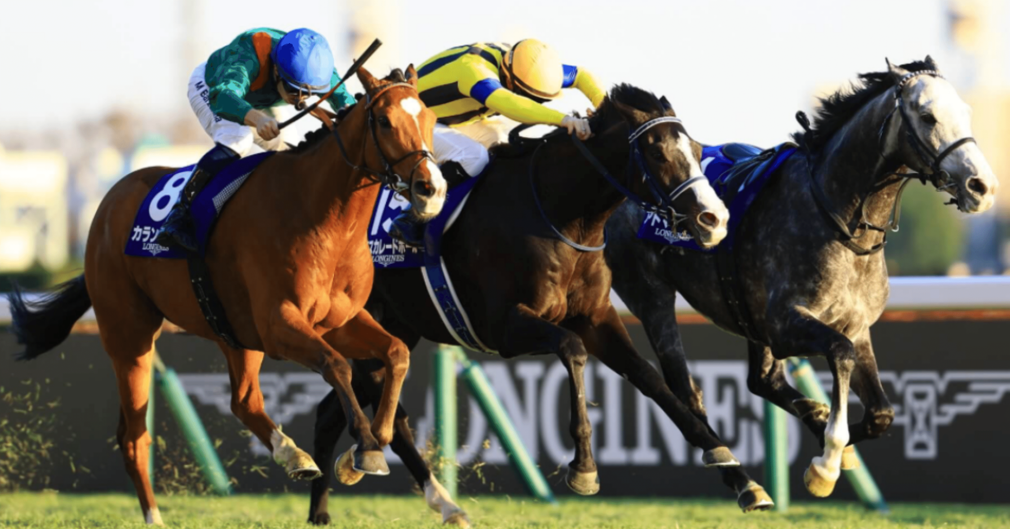 ジャパンカップ2025回顧｜お馬のKENZOの馬券だぞー！