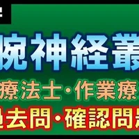 運動学 立位姿勢と重心 確認問題 理学療法士 作業療法士 理学療法士作業療法士 国家試験攻略note 西島紘平 Note