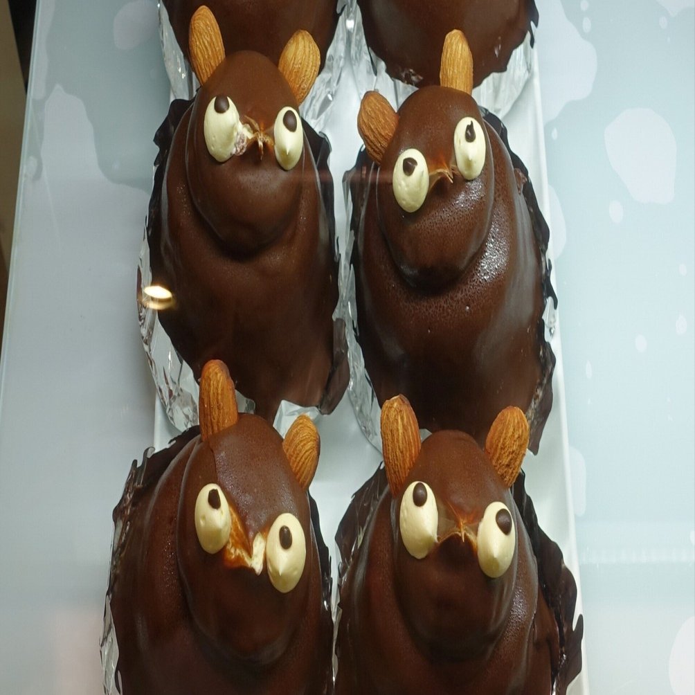 たぬきチョコ 徳島のたぬきケーキ｜安藤トワ