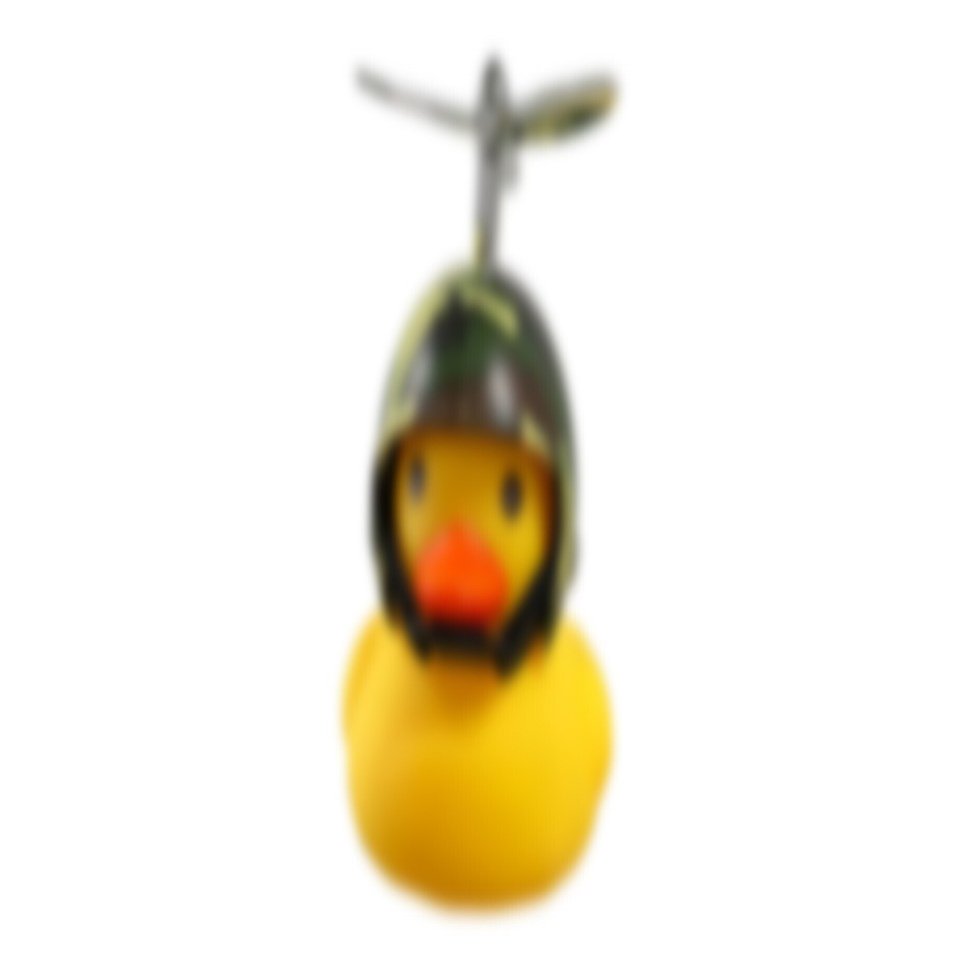 自転車アヒルと仁義なき世界｜椙本孝思