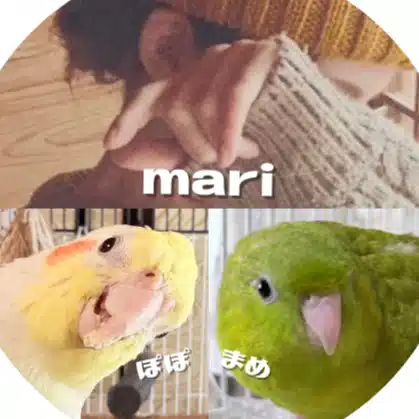 mari* | 鳥と暮らす、主婦フリーランス