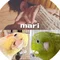 mari* | 鳥と暮らす、主婦フリーランス