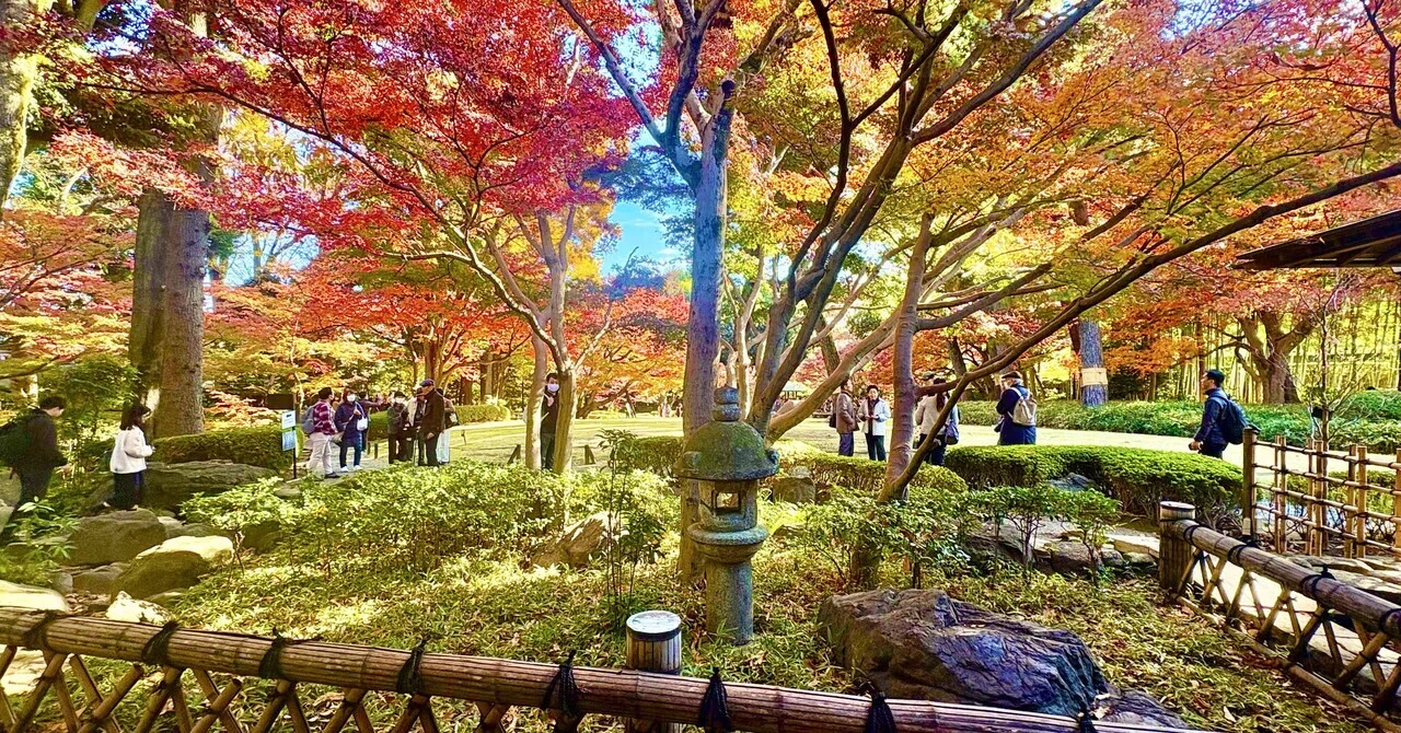 大田黒公園（杉並区）～紅葉に癒されました～｜Yayoi Fujikura
