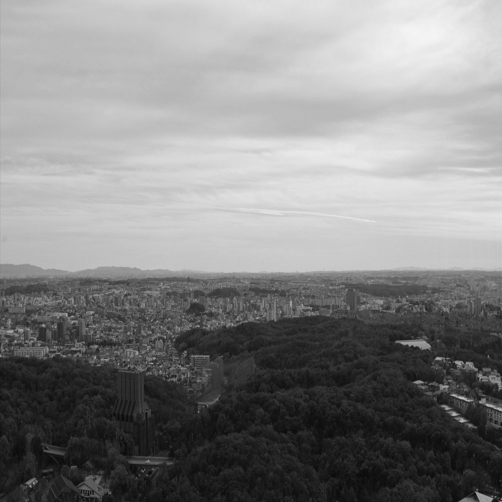 撮って出しだけどモノクロにしてみた写真たち#10 過去の写真その2｜え