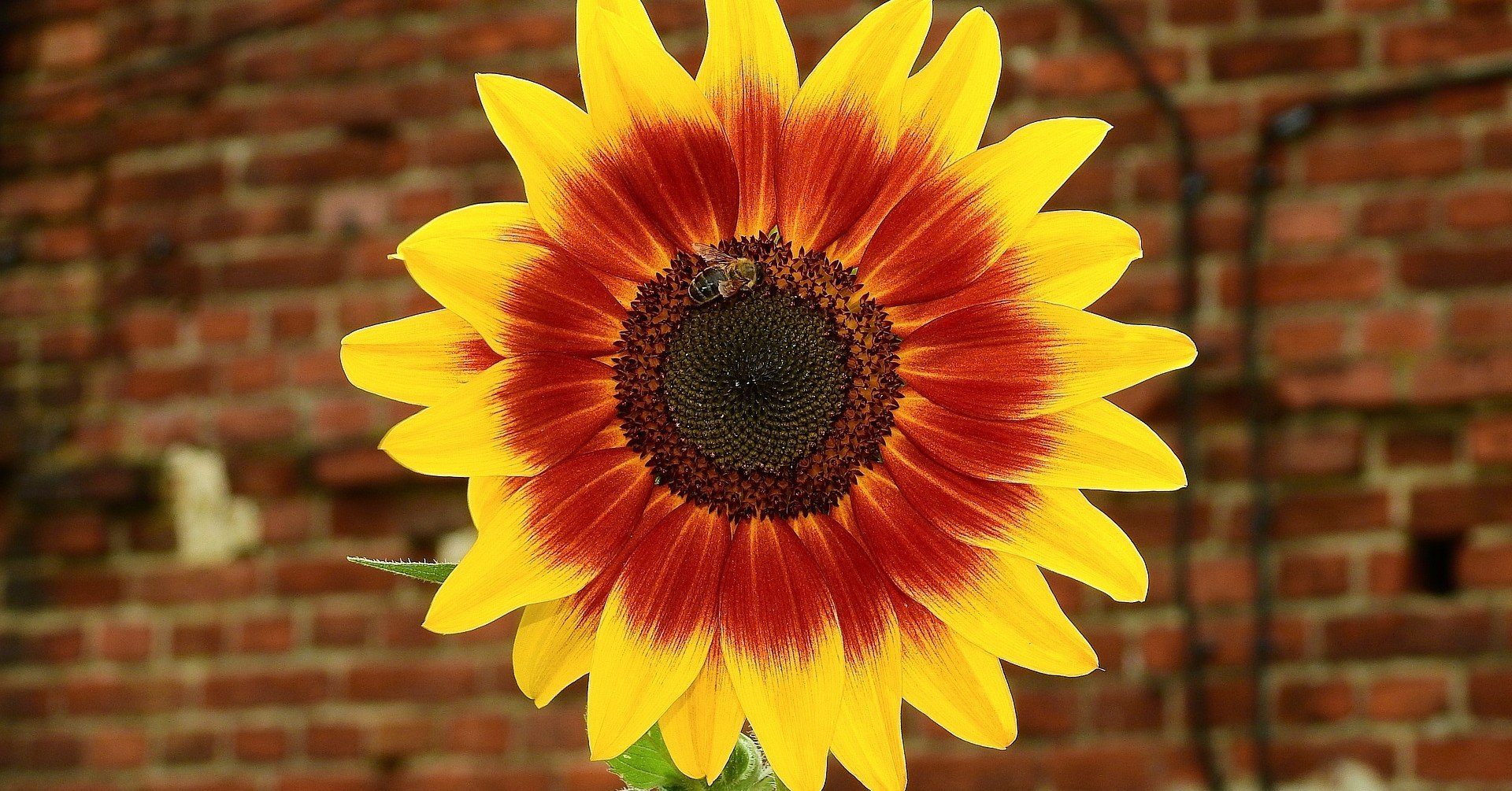 Snsでのキャラクター設定 前編 Shin Nakamura Note