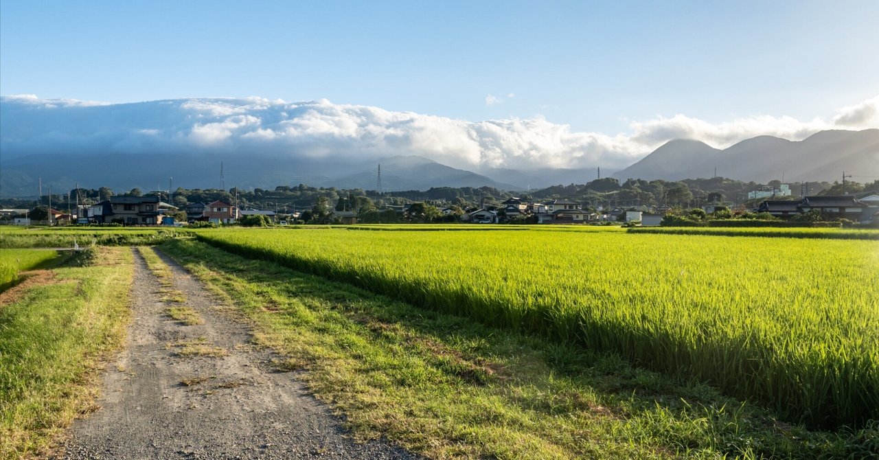三つの地域が重なるとき―見えてきた今と未来へのヒント