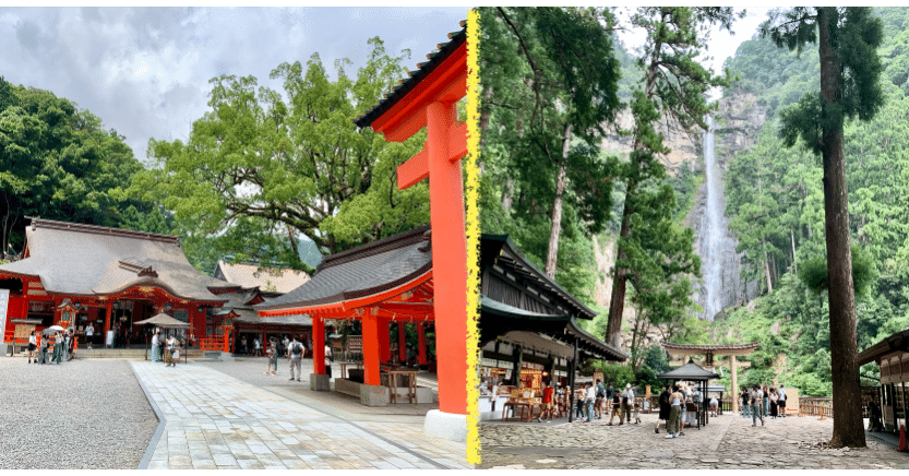 熊野那智大社】樹齢数百年の大楠で「胎内くぐり」体験｜2年間放置した