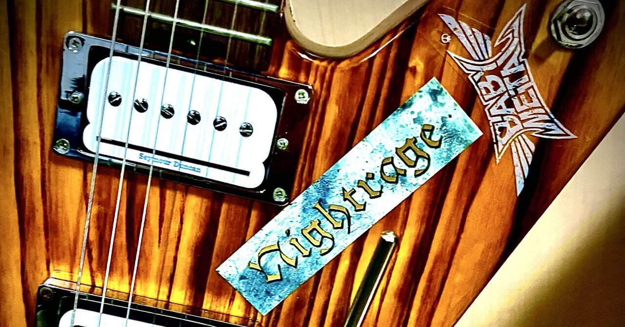 セイモアダンカン P-Rail｜キシヤンですよ