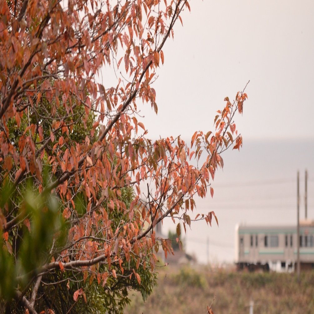 風景写真集｜セ氏