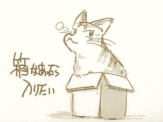 箱入り猫 鉛筆画 women 3083