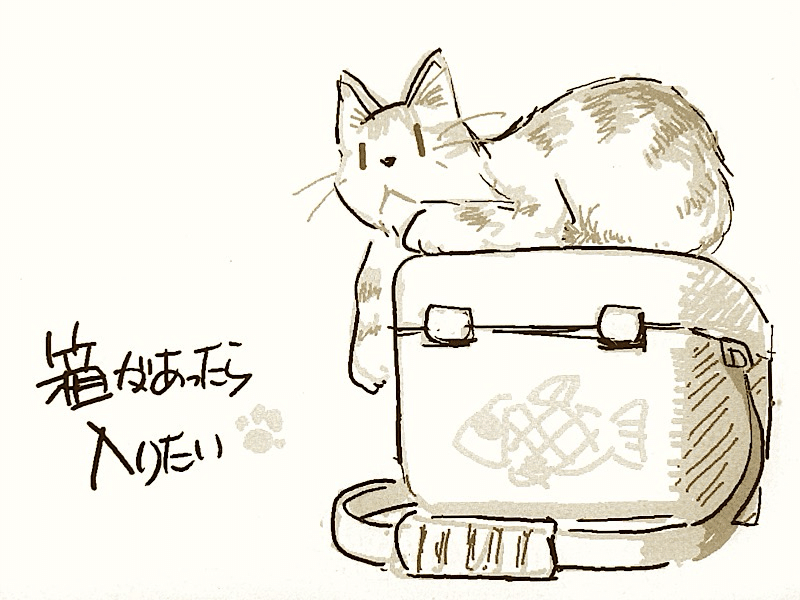 箱があったら入りたい ｜やぢおぅ / Yazioh