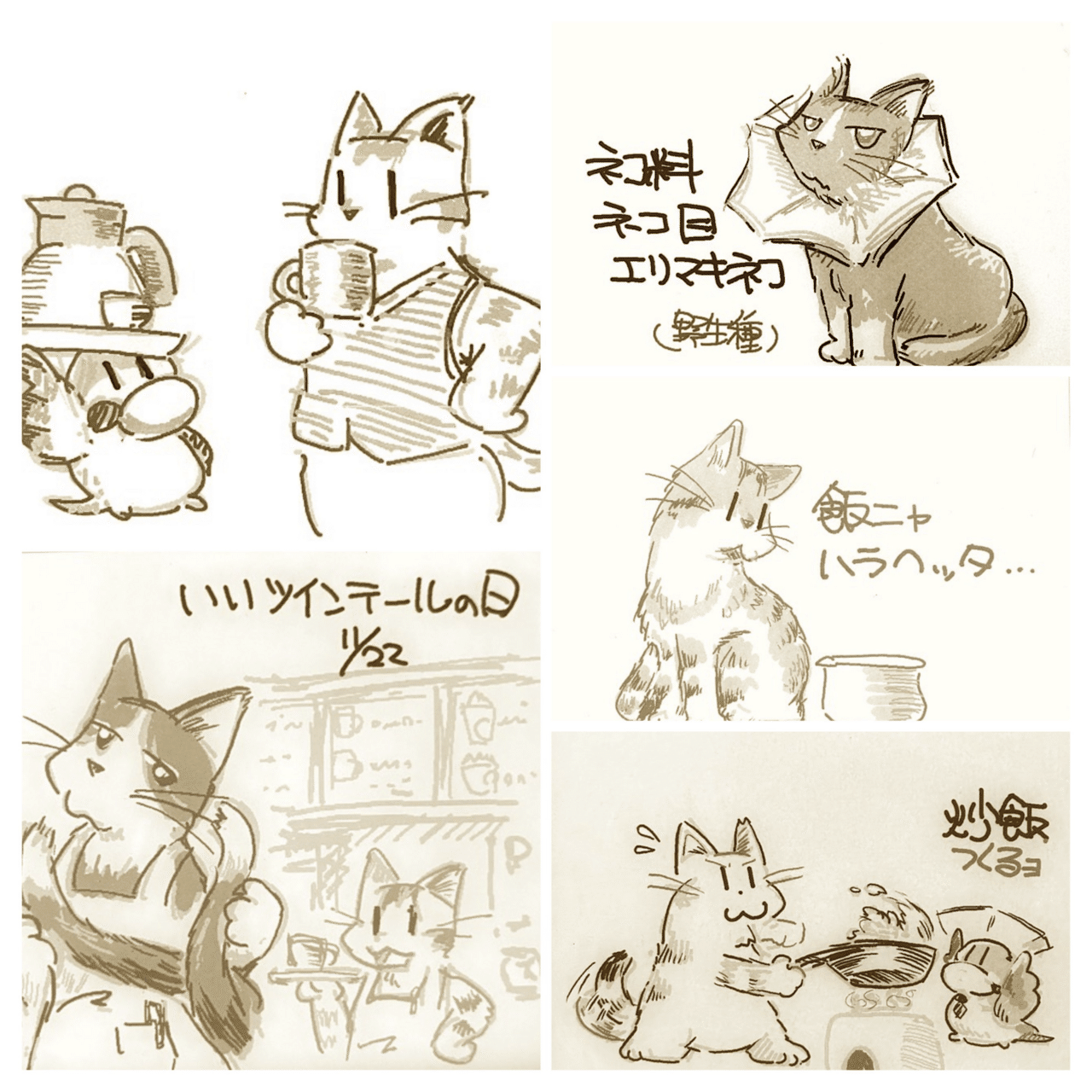 箱があったら入りたい ｜やぢおぅ / Yazioh