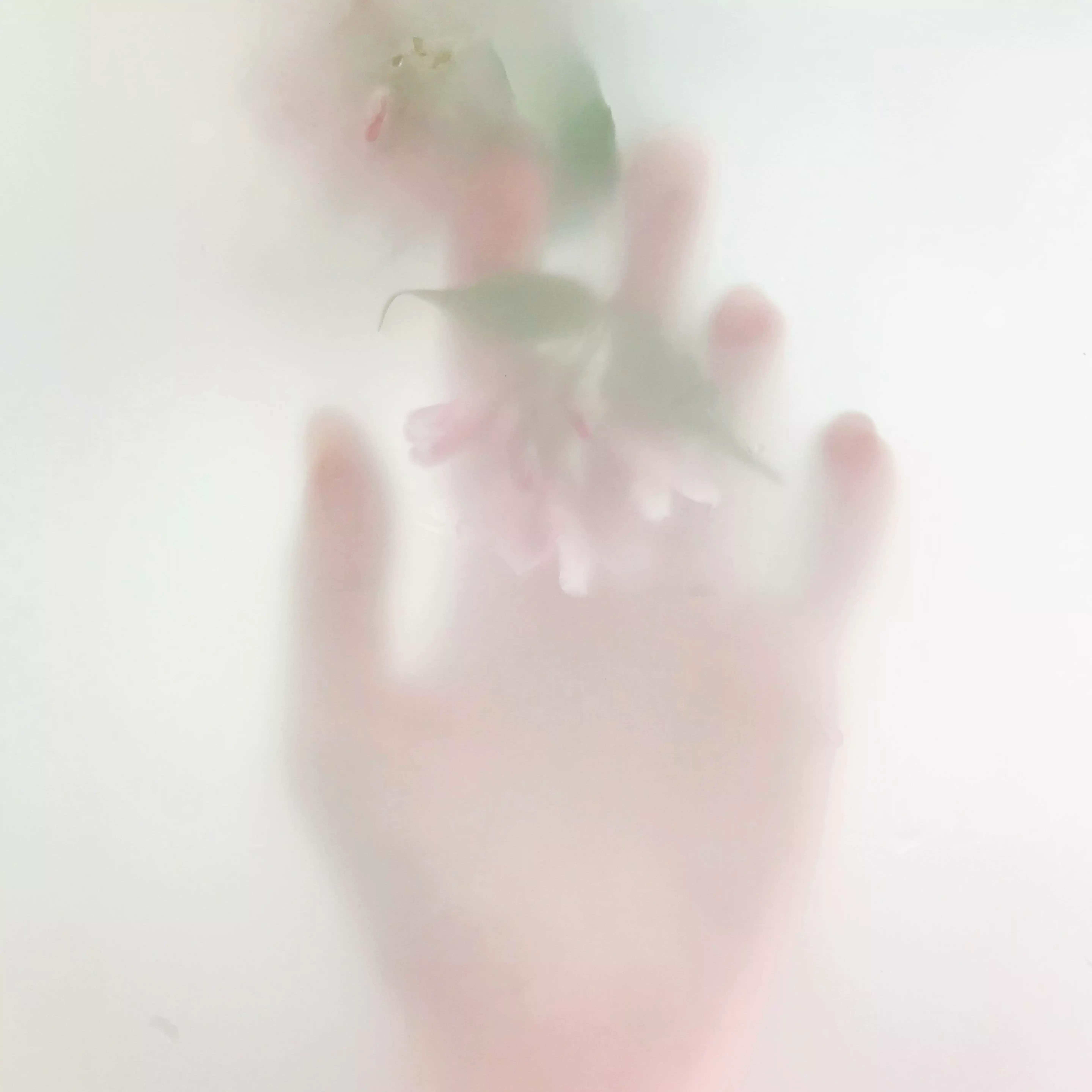 生命体