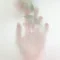 生命体