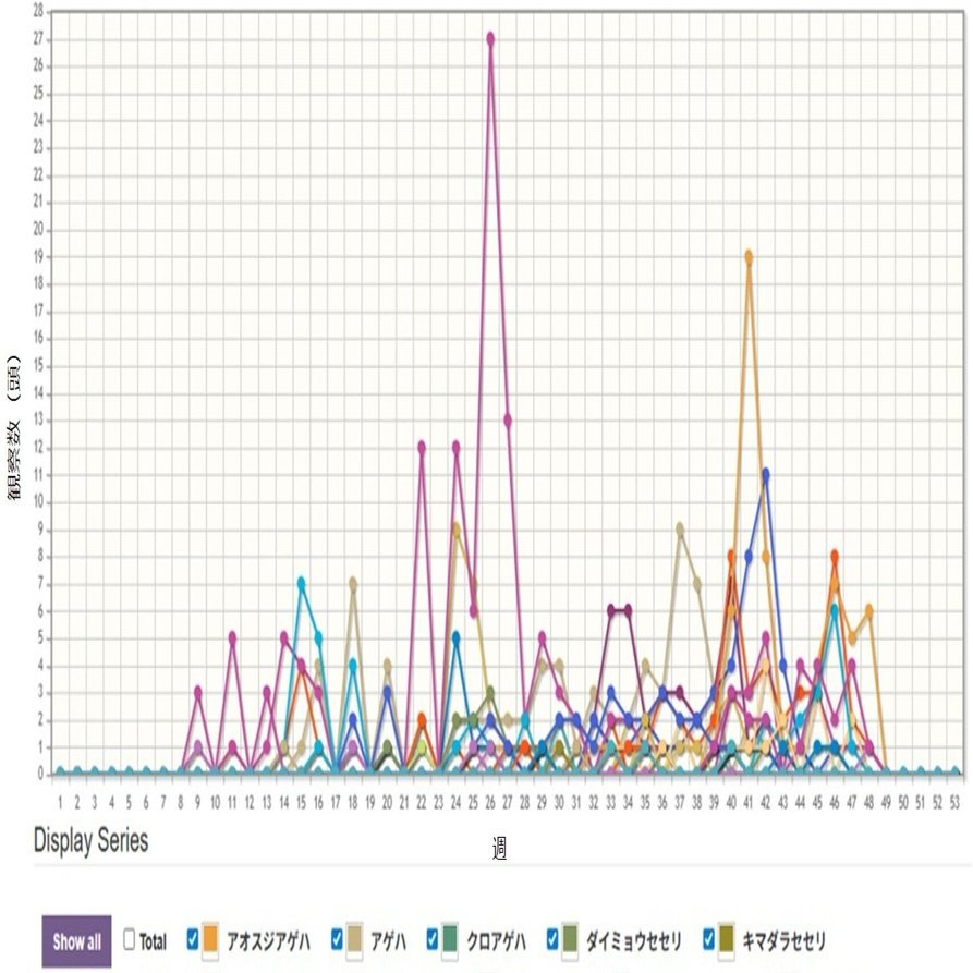 蝶記録】2025トランセクト調査まとめ｜Makoqujila_note