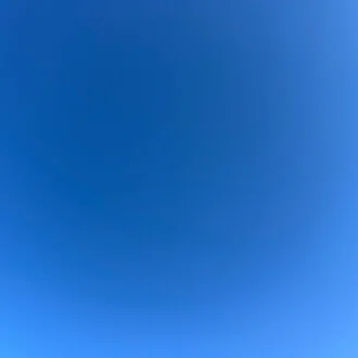 ハシ　トロコ