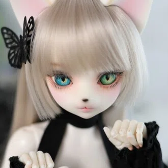 しょせっと