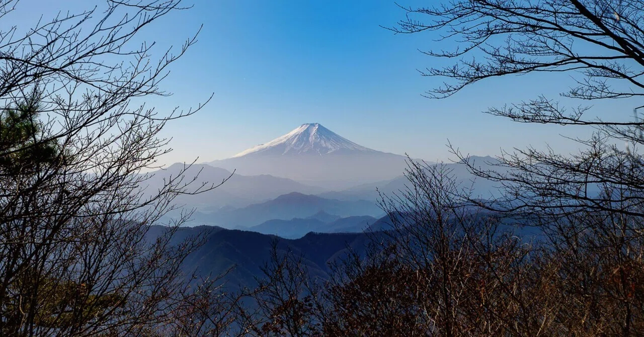 のんびり森林セラピー。冬の入口、奥多摩・三頭山。｜しみじみ山歩き