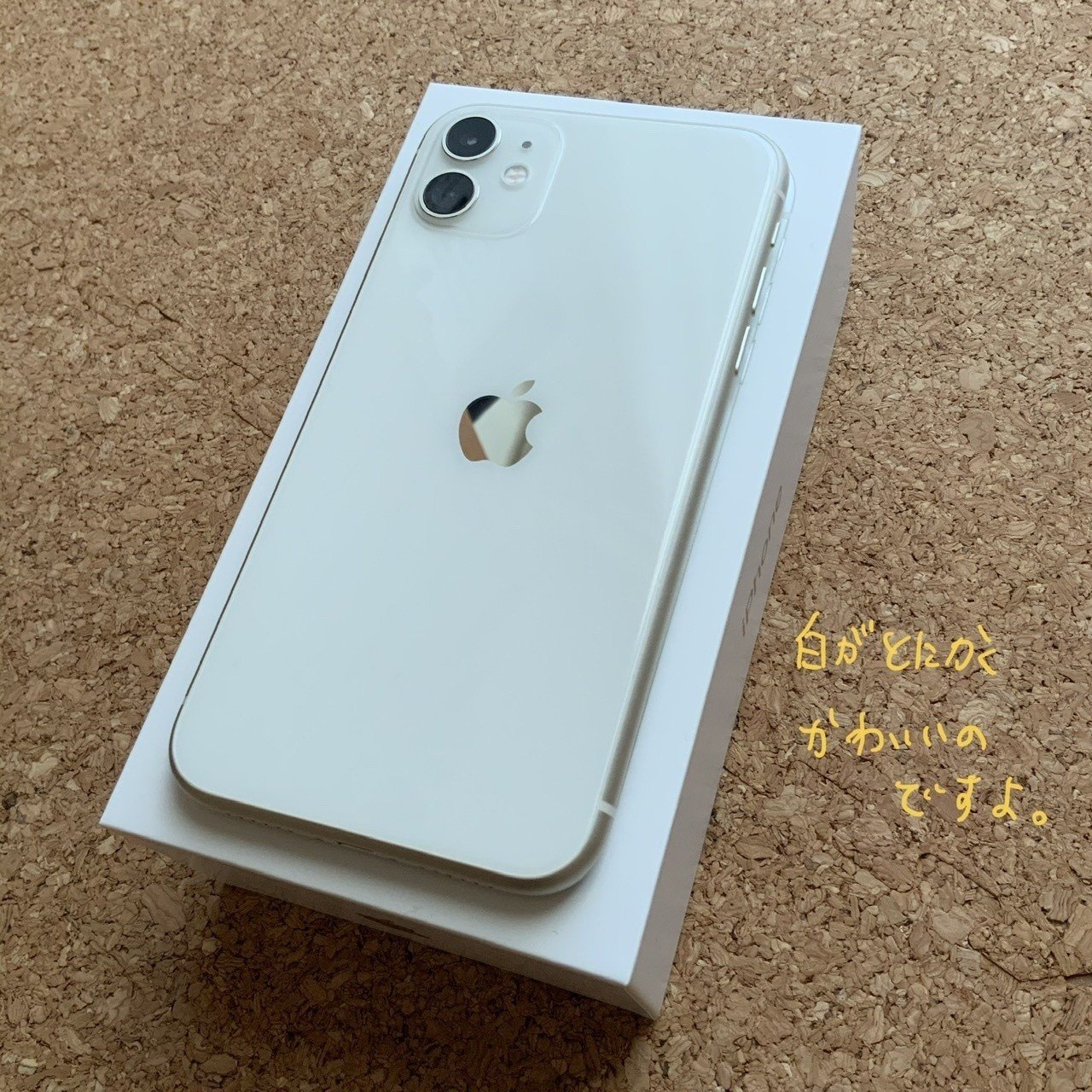 iPhone SE ではなく iPhone 11 購入しました｜ねこさん
