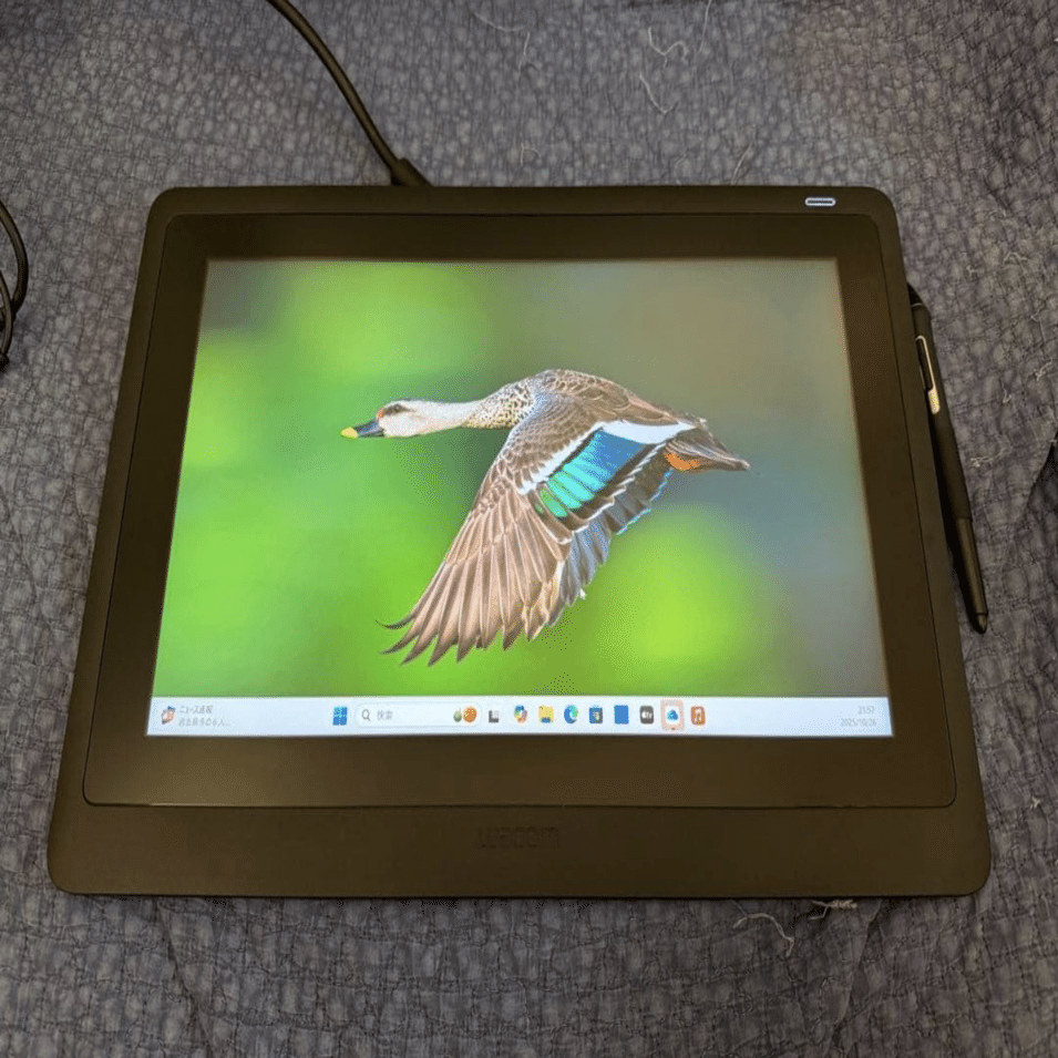 pion 断捨離まとめ売り 2025年の思い切りが必要だった断捨離3選｜butchmisao