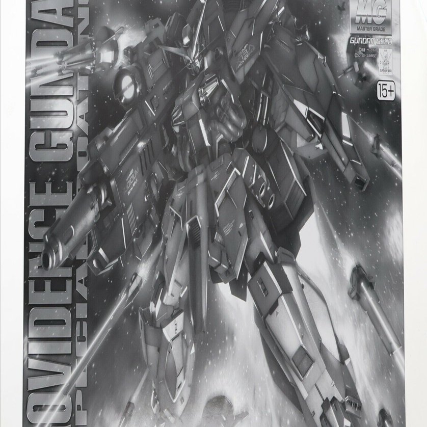 本日見つけた掘り出し物】天を統べる闇色の輝き！プレバン限定MG