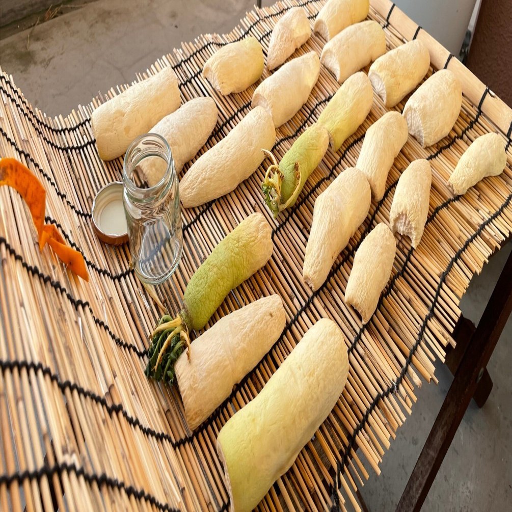 干し大根5kg×2束（20本〜28本程度）※手作り沢庵に。 大根干すとこから沢庵作りをやってみる｜おかんのごはん_いとうまさえ