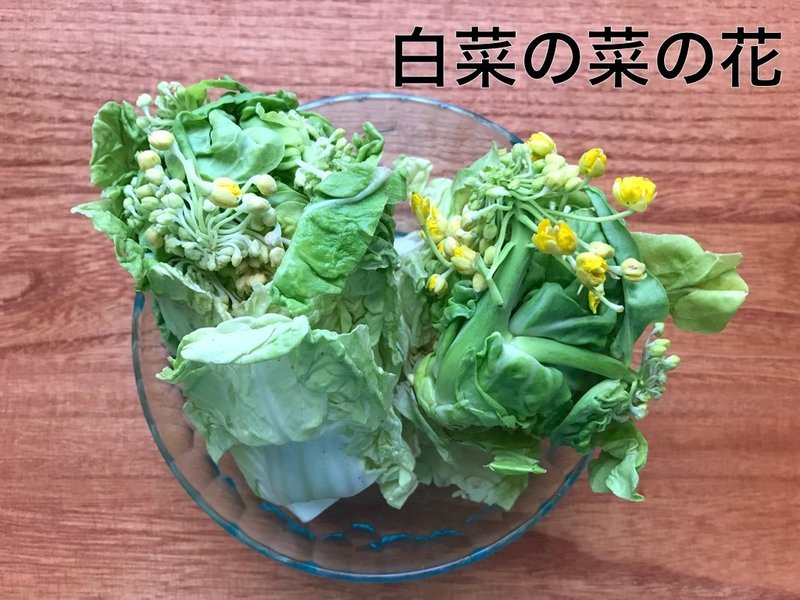 菜の花 って菜の花だけじゃないのか まつ Note