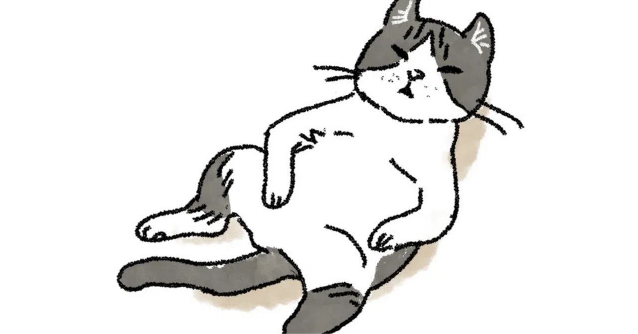 Cat, you're definitely doing that on purpose｜Baton