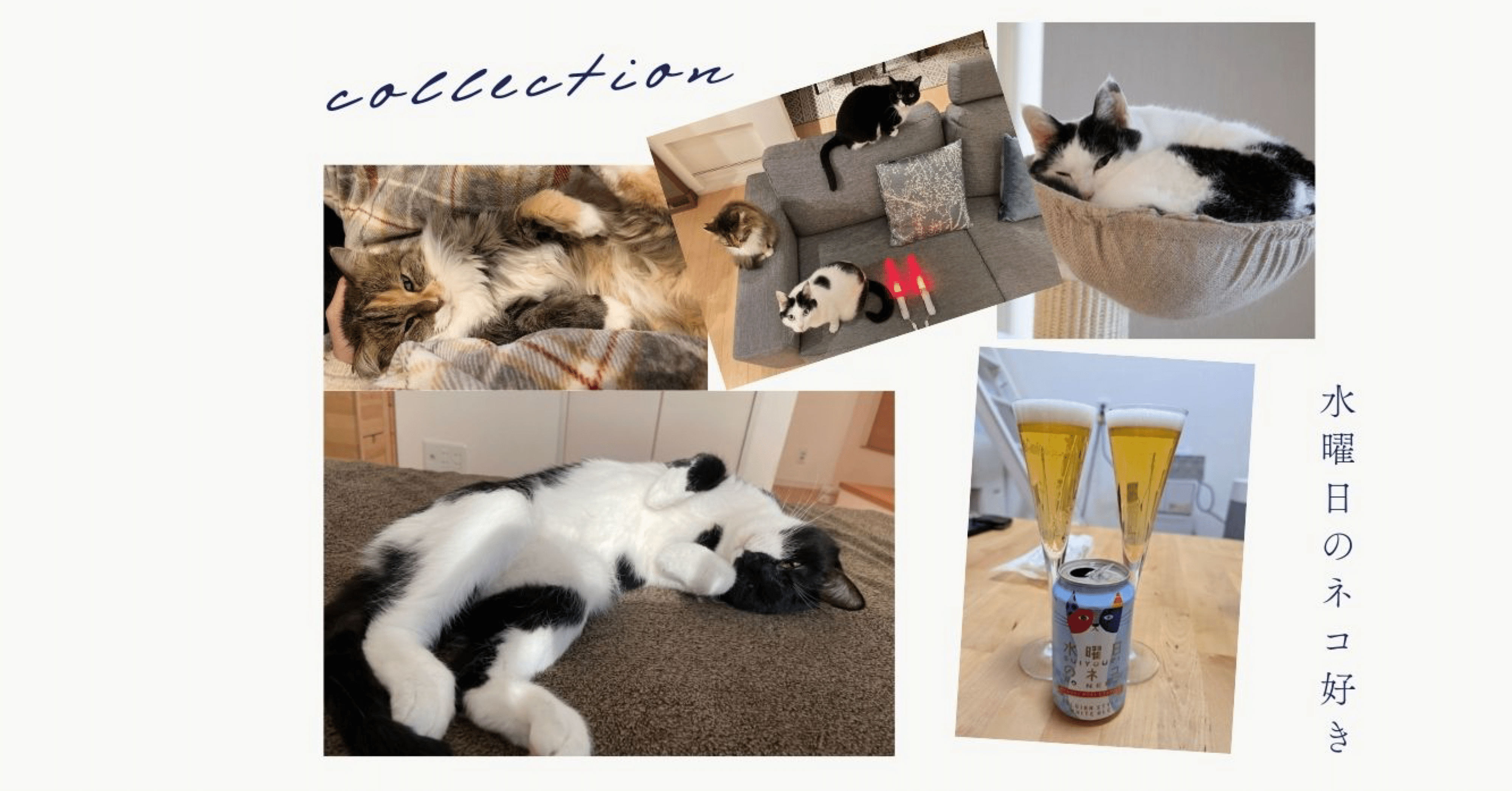 水曜日のネコ好きのnoteがごちゃごちゃしてるので、まとめてみました