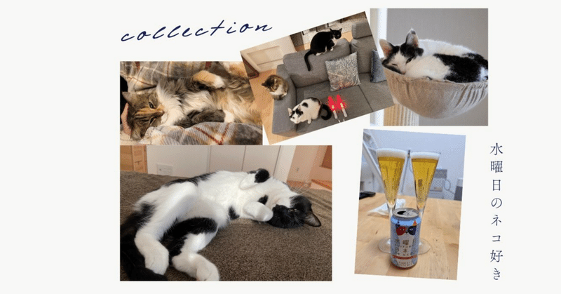 ネコ好きさん LL_img_410624_1.jpg