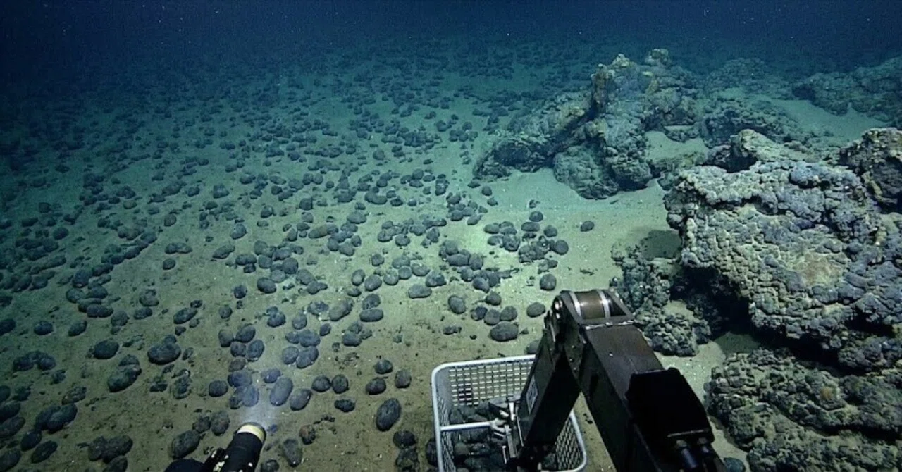 科学] 南鳥島の深海に眠る「黒い真珠」――プレートテクトニクスと「山に 