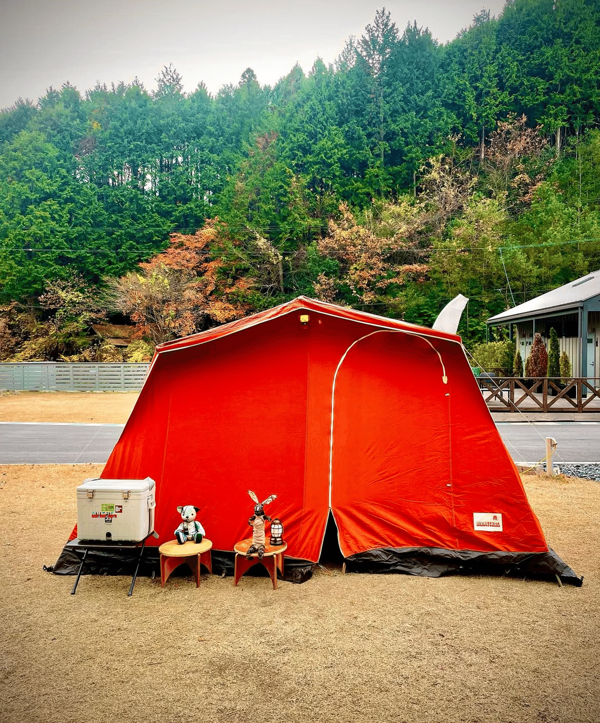 クラシックカーを35年。本物を知る男が、パジャマムーンを選んだ理由