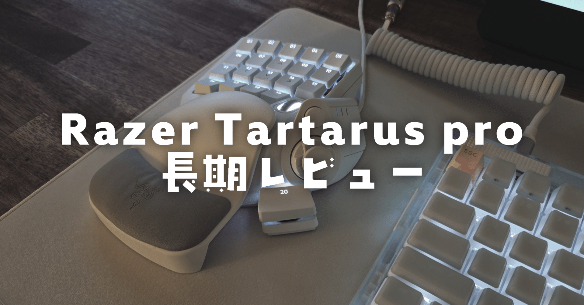 長期レビュー】結局これが一番使いやすい【Razer Tartarus pro】｜東洋