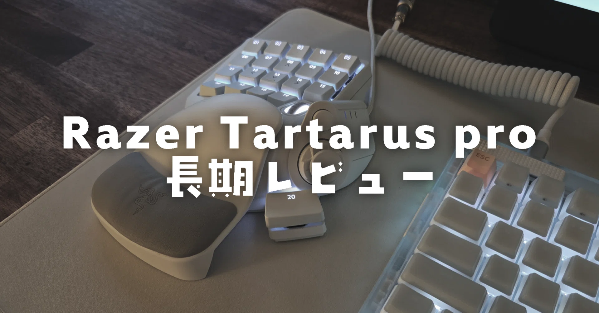 長期レビュー】結局これが一番使いやすい【Razer Tartarus pro】｜東洋