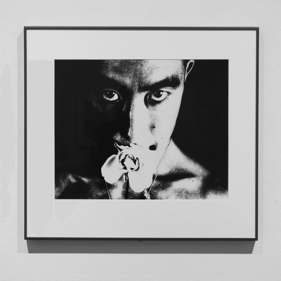 細江英公のしごと｜Yutaka Kano